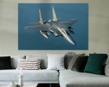 Amerikaanse Luchtmacht F-15 Eagle van Dirk Jan de Ridder