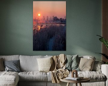 Zonsopgang