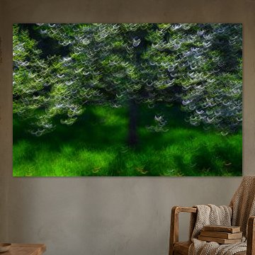 PRINTEMPS 14 sur Miroslav Ptacek