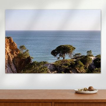 Pinie über dem Meer – Algarve-Küste von Nina Thilo