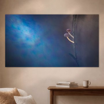 Beam-me up! sur Maarten Trybou