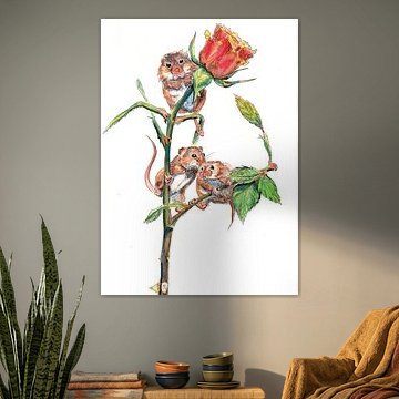 Muisjes op een roos van Irina Rammos
