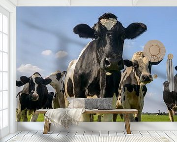 Gruppe von Kühen in die Linse von Sjoerd van der Wal Fotografie