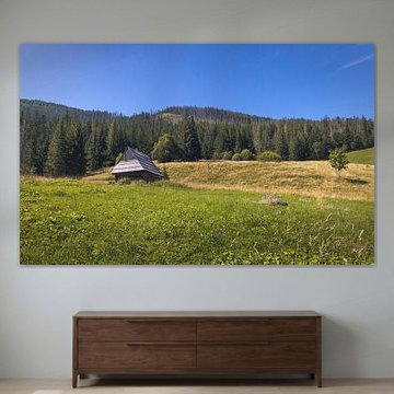Rustieke hut in het schilderachtige Tatra-Nationaalpark, Polen – Landschap van PhotoCluster