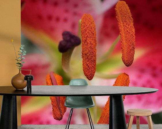Raumvorschau