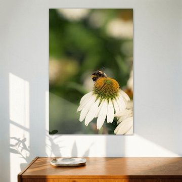 By the flower by Dave Oudshoorn