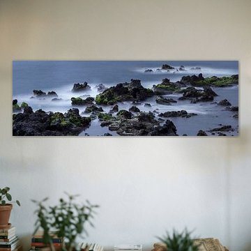 Flint and Sea Spirit: The Wild Coast of Tenerife by Walter G. Allgöwer