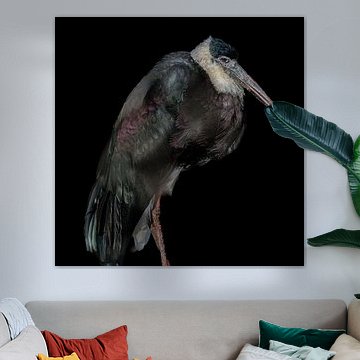 Bisschops ooievaar van Hennie Zeij