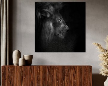 Squeeze, portret van een leeuw van Ruud Peters