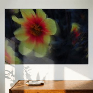 BLUMENTRÄUME 25 von Miroslav Ptacek
