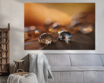 Inkognito von Carla Mesken-Dijkhoff