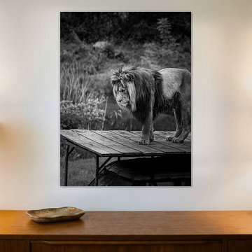 The Weight of a King by Trevor Doornbusch