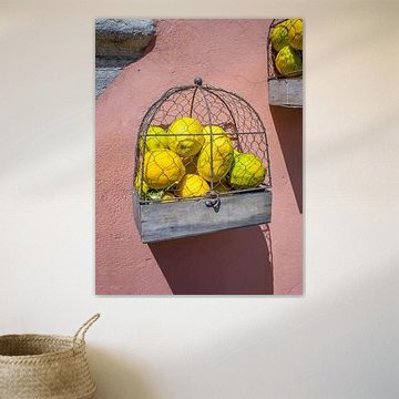 Lac de Garde - Des citrons comme décoration murale