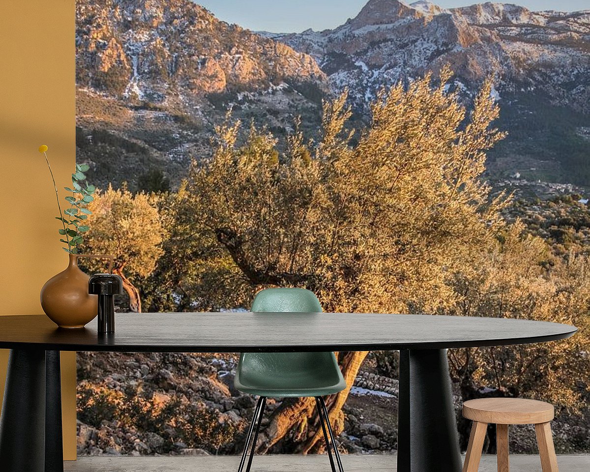 Raumvorschau