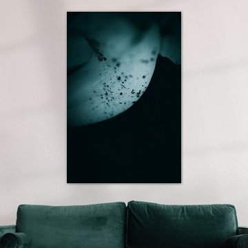 Memento Flora van Saskia de Wal