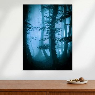 Herfts in het bos (blauwtinten)