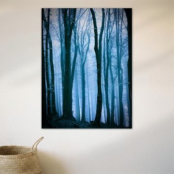  Mistig bos in een blauwtinten.