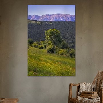 Prachtig uitzicht op het Cadi-gebergte vanuit La Cerdanya, Catalonië van PhotoCluster