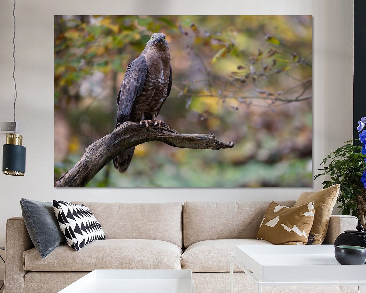 Raumvorschau