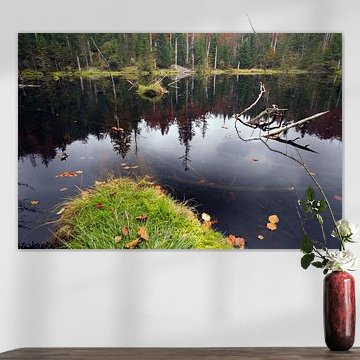 Lac de la forêt