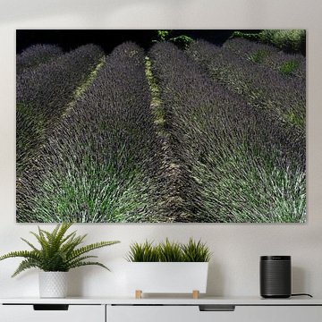 PROVENCE 10 sur Miroslav Ptacek