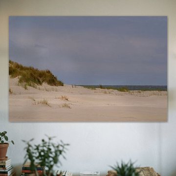 In the dunes
