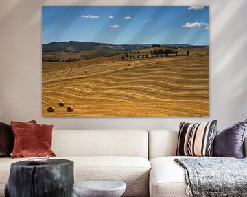 Rolling Tuscan Hills by Dennis Wierenga