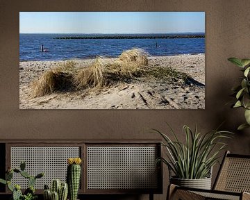 Strand Ketelmeer van PvdH Fotografie
