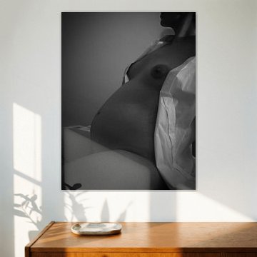 Seins et ventre de femme enceinte