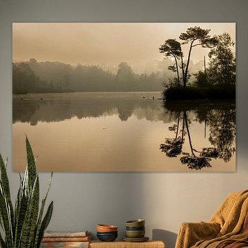 A misty sunrise by the pond by Rêve