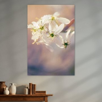 A dreamy image of a currant bush in bloom by Rêve