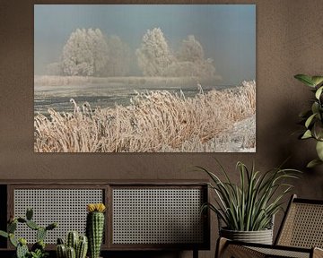 Winter landschap in Noordholland van Sjaak van Etten