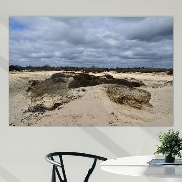 Balloërveld Sand Dune by Bernard van Zwol