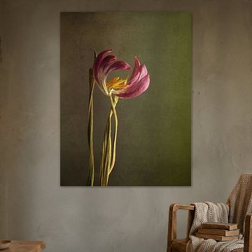 Withered tenderness by Andreas Berheide Photography
