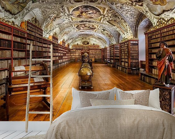 Aperçu de la chambre