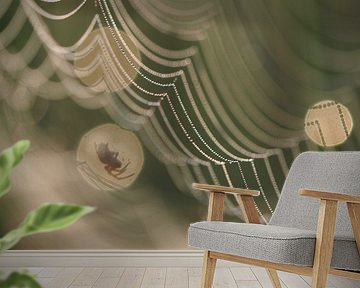 Spin op zijn web in diafragmaring. van Astrid Brouwers