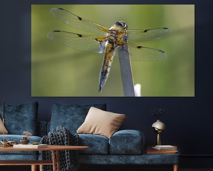 Raumvorschau
