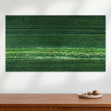 Green on green by Marcel Hechler