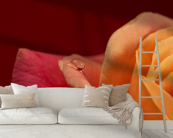 Raumvorschau