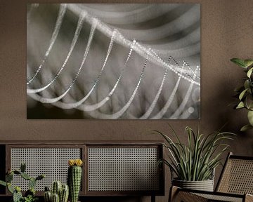 Detail van een bedauwde spinnenweb. van Astrid Brouwers