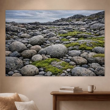 Rocky coast in the grey of the Northern Lights – Rocky Coastal Wilderness