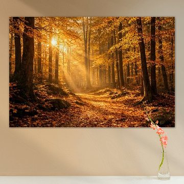 Golden Path Through the Autumn Forest