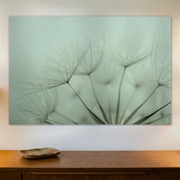Natur hautnah: Die Schönheit der Wiesen-Schwarzwurzel von Sjoerd van der Wal Fotografie