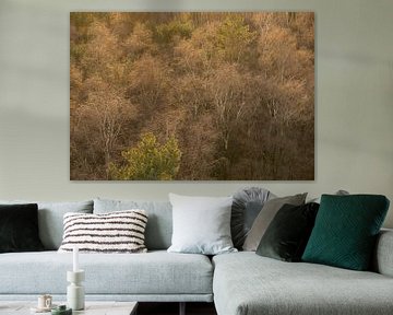 Bomen vanaf hoogte van Elroy Spelbos Fotografie