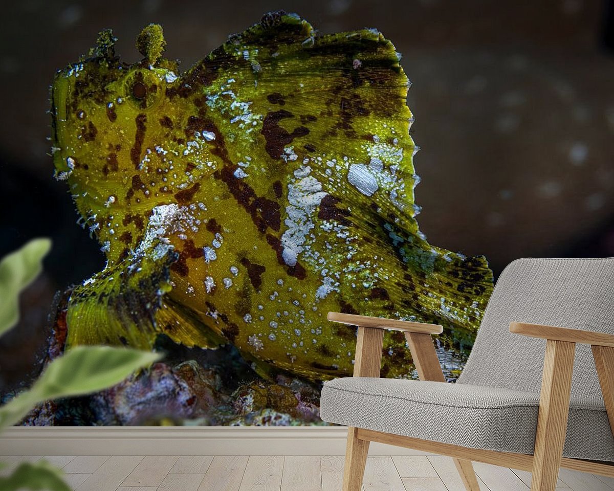 Raumvorschau