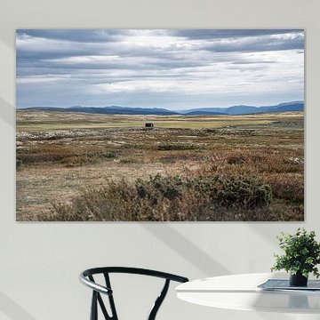 Secluded mountain hut in the tundra of Rondane, Norway by Dylan Winter Visuals