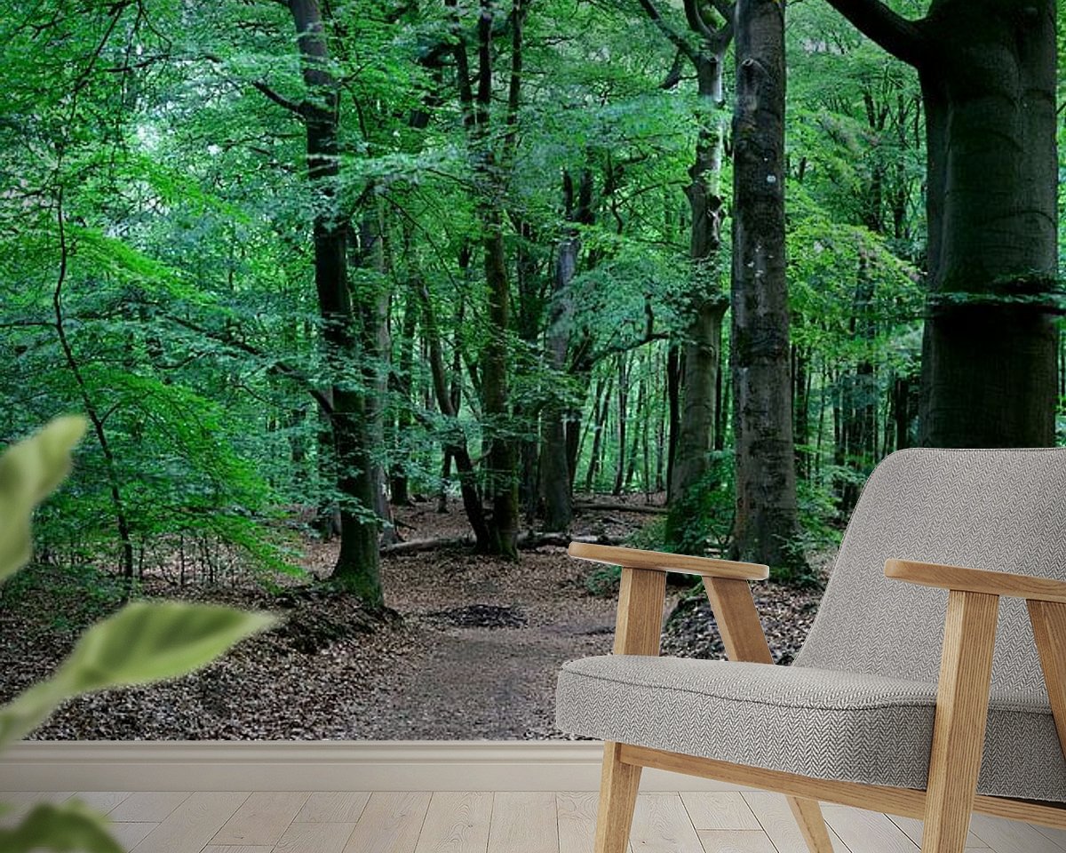 Raumvorschau