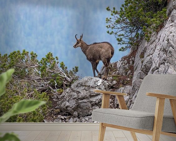 Raumvorschau