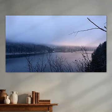 Magnifique vue baignée de lumière sur l'Alpsee en Bavière - Photo du lac dans un paysage hivernal évocateur avec un espace vide