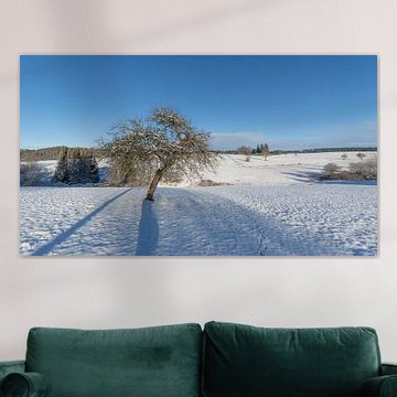 Lonely Tree in misty Winter von Sebastian Czech